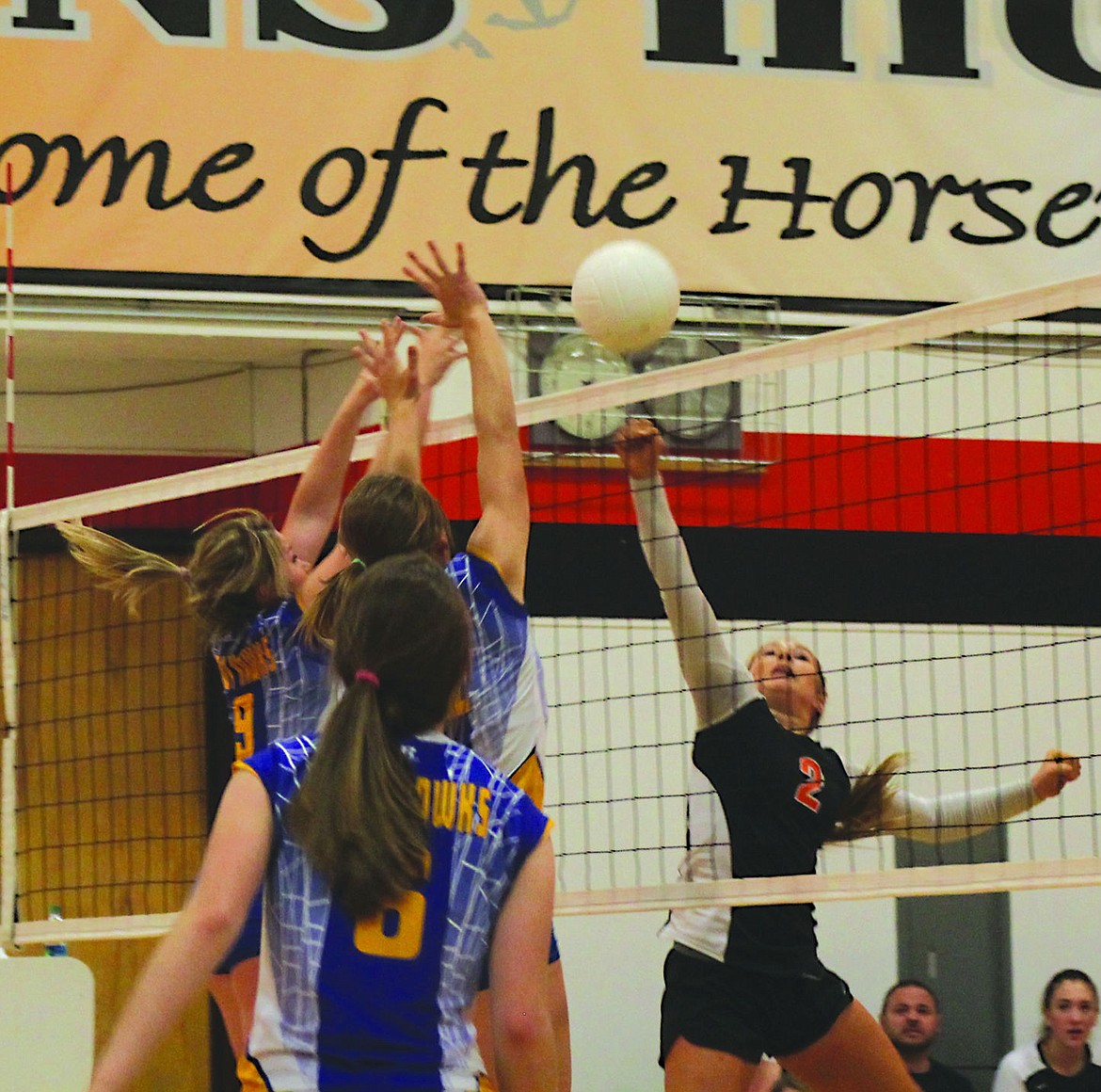 &lt;p&gt;Senior Rebekah Barnard hits the volleyball past the Thompson Falls defense in a match earlier in the season.&lt;/p&gt;