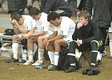 Bulldogs fall short in title match