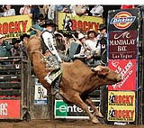 Hill riding, Mufasa among stock at PBR World Finals