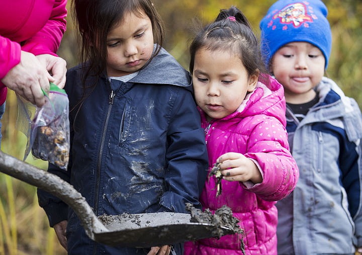 &lt;p&gt;From left, Nicholas Bohlman, Rozina Janson, and Monroe Spotted Horse find a water potato amongst the mud on Oct. 24, 2016 at Heyburn State Park. This week, The Coeur d'Alene Tribe celebrates their heritage and culture by teaching nearly 500 school children their language, culture and food sources.&lt;/p&gt;