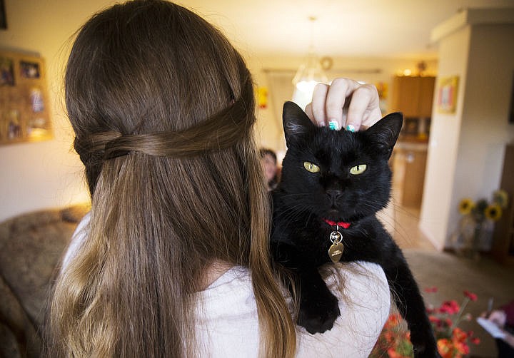 &lt;p&gt;Catniss relishes a long head massage at her home on Monday, Oct. 17, 2016 after she had been lost for nearly five months.&lt;/p&gt;