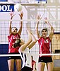 Volleyball is therapy for Wildkat with cancer
