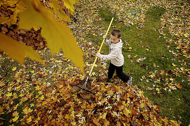 &lt;p&gt;JEROME A. POLLOS/Press Garrett Wing, 9,&#160;clears a section of his front yard Tuesday as he rakes leaves from a maple tree into a pile in Dalton Gardens. Wing's plan was to create a pile large enough so he and his siblings could play in them later in the day.&lt;/p&gt;