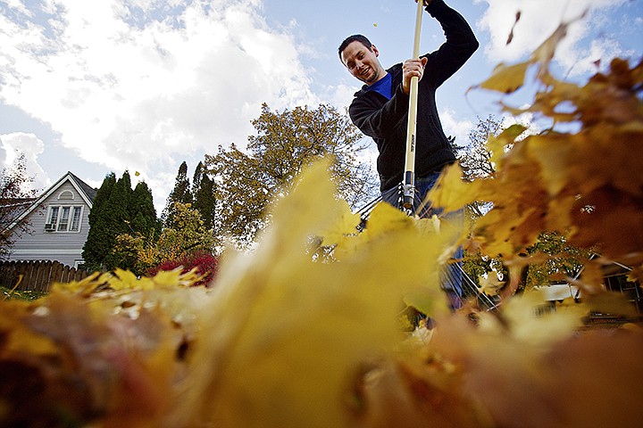 &lt;p&gt;JEROME A. POLLOS/Press Jason Droesch rakes the leaves from his yard along the Foster Avenue curb Monday in preparation for the annual Coeur d'Alene leaf pickup service. Coeur d'Alene's &quot;leaf fest&quot; is scheduled to begin Nov. 13 on the south side of Sherman Avenue with crews anticipating to complete the entire project by the end of November.&lt;/p&gt;