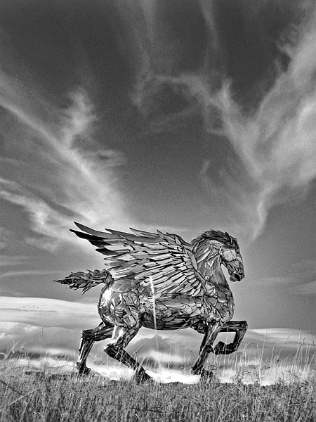 <p>Photo provided by Sean Guerrero.</p>