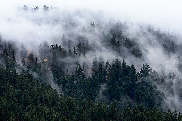 &lt;p&gt;TESS FREEMAN/Press&lt;/p&gt;&lt;p&gt;Low-lying clouds hide the top of Canfield Mountain on Thursday afternoon during the heavy rainstorms that hit Coeur d&#146;Alene and the surrounding area.&lt;/p&gt;