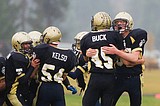 'A pack of Tigers'