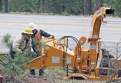 <p>Workers from Robinson Brothers of Rathdrum, Idaho, put tree limbs in a wood chipper on Tuesday. The tree limbs were cut when fiber optic cable was installed on telephone poles on Montana 37 north of Libby. (Caleb M. Soptelean/TWN)</p>