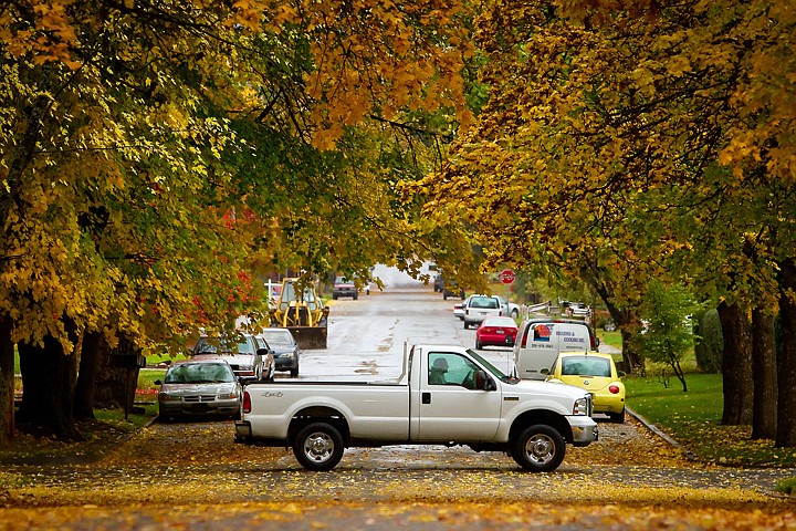 &lt;p&gt;JEROME A. POLLOS/Press A motorist drives under a canopy of brightly colored leaves Monday awaiting to fall from branches near the intersection of Front Avenue and 17th Street.&lt;/p&gt;