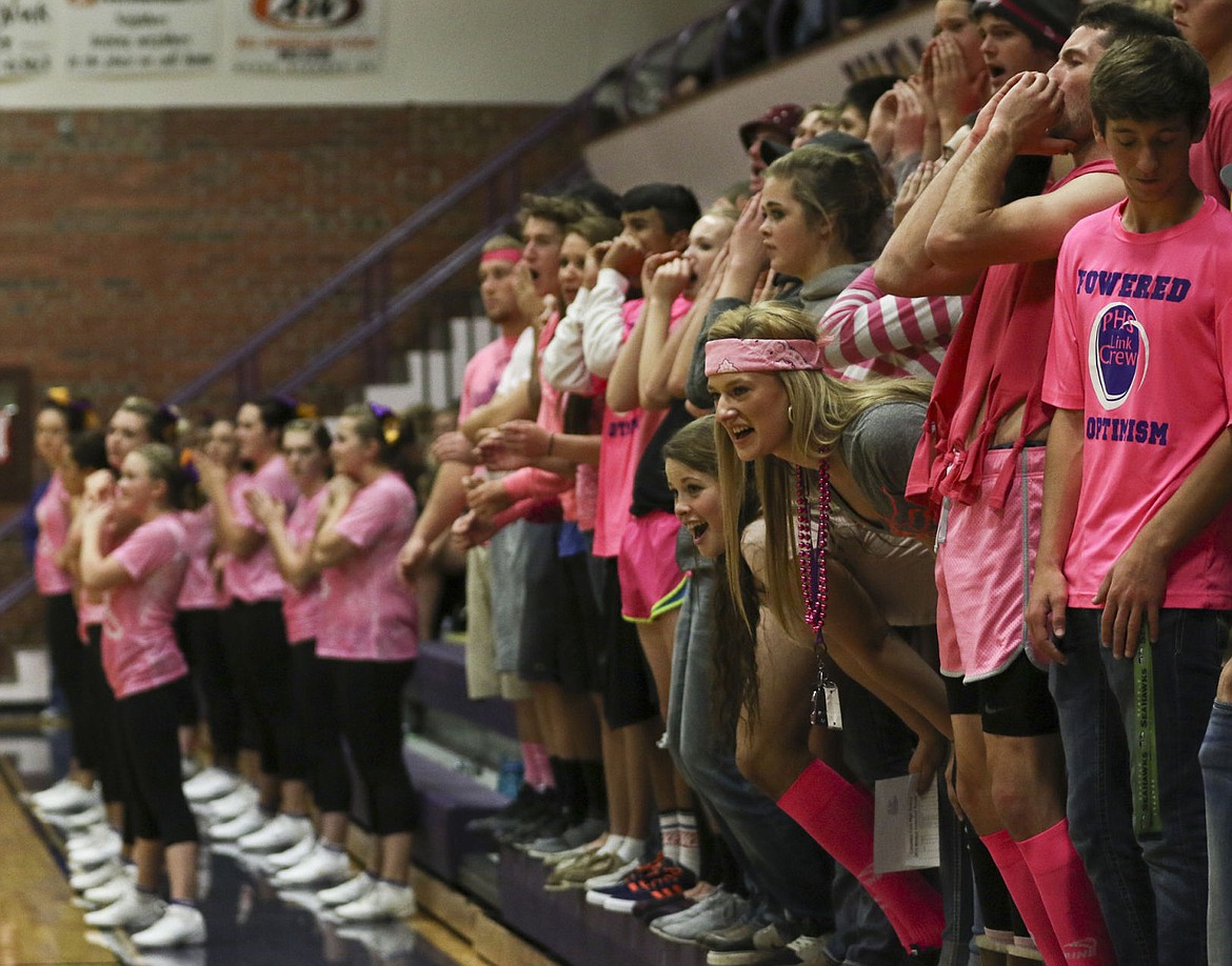 &lt;p&gt;The Polson student section cheers on the volleyball team on Thursday night during their pink game and senior night.&lt;/p&gt;