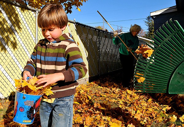 Jaden Dannic, 5, carries a bucket full of leaves to help Nadine Eckart (back) clear her 90-year-old mother's yard in Kalispell on Wednesday afternoon.