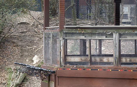 &lt;p&gt;The overlook platform where a boy fell into the exhibit that was home to a pack of African painted dogs is seen at the Pittsburgh Zoo and PPG Aquarium on Monday. Zoo officials said a young boy was killed after he fell into the exhibit and the dogs mauled him on Sunday. Reports indicate that the child hit the netting seen protruding at left before falling into the enclosure.&lt;/p&gt;