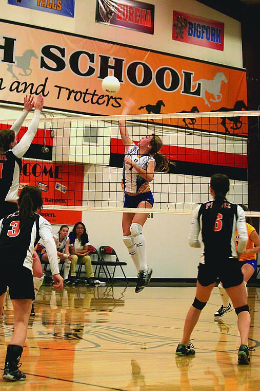 &lt;p&gt;Shey Hannum goes up to spike the ball. During the game, Hannum brought in 11 of the 28 kills.&lt;/p&gt;