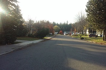 Lead