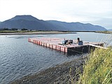 Delta work dims access at drift yard