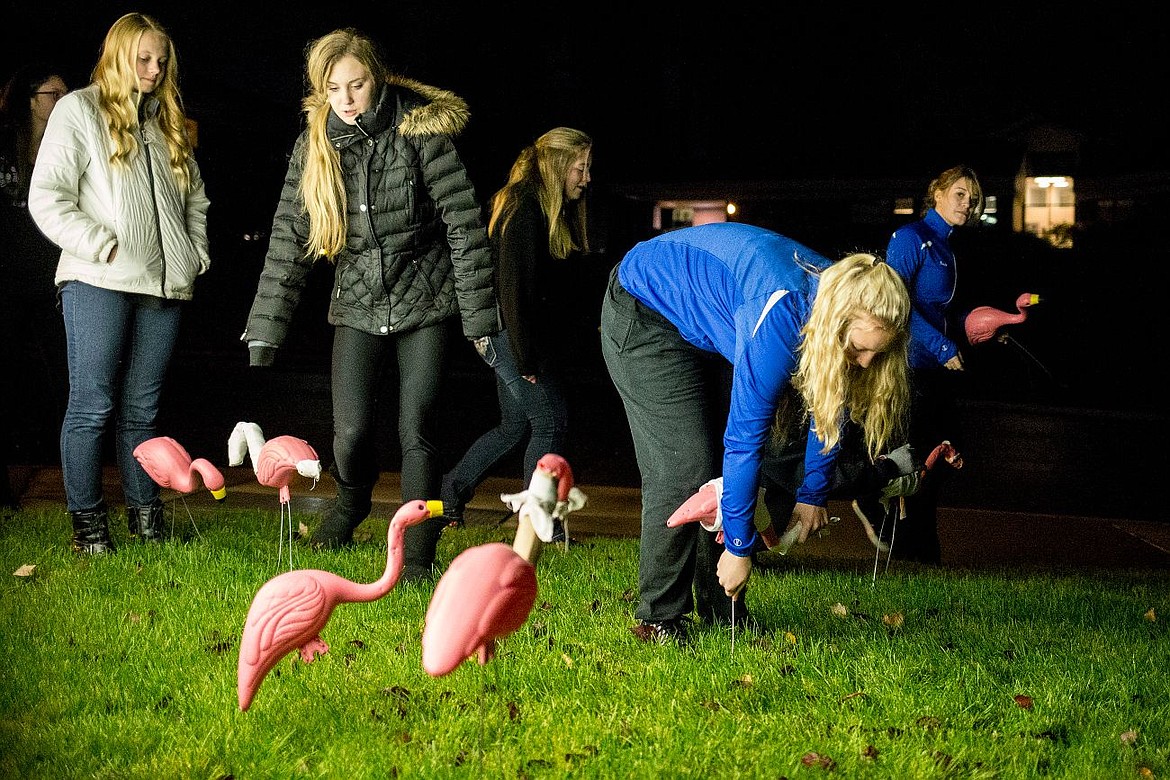 &lt;p&gt;Girls on the Coeur d'Alene High School dance team place plastic flamingos in front of the North Idaho Physical Therapy sign to &quot;flock&quot; the business on Wednesday in Coeur d'Alene as part of a fundraiser for the dance team.&lt;/p&gt;