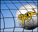 Lions district champs