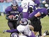 Vikings end season with loss to Panthers