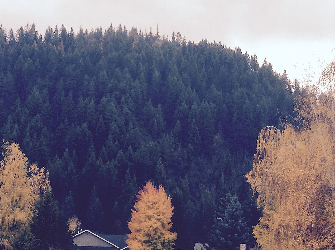 &lt;p&gt;Best Hill in November, as seen from the Best Hill Ranch and Best Hill Meadows neighborhoods in Coeur d'Alene.&lt;/p&gt;