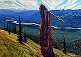 'Flathead Wild' exhibit opens in Kalispell