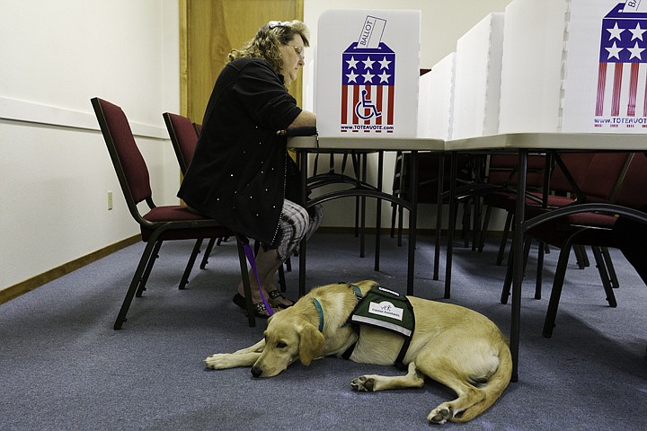 &lt;p&gt;SHAWN GUST/Press Fern, a lab mix service dog, waits patiently for Tynia Rich to vote.&lt;/p&gt;