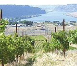 Quincy's Ancient Lakes wine officially recognized