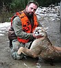 Bigfork hunter has close encounter of the cougar kind