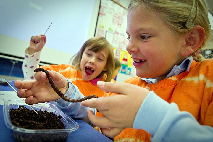 &lt;p&gt;JEROME A. POLLOS/Press Jadin Krier, 6, inspects an earthworm while Emma Buckmeyer, 6, gets a little squeamish with the classroom science lesson Friday at Ramsey Elementary.&lt;/p&gt;