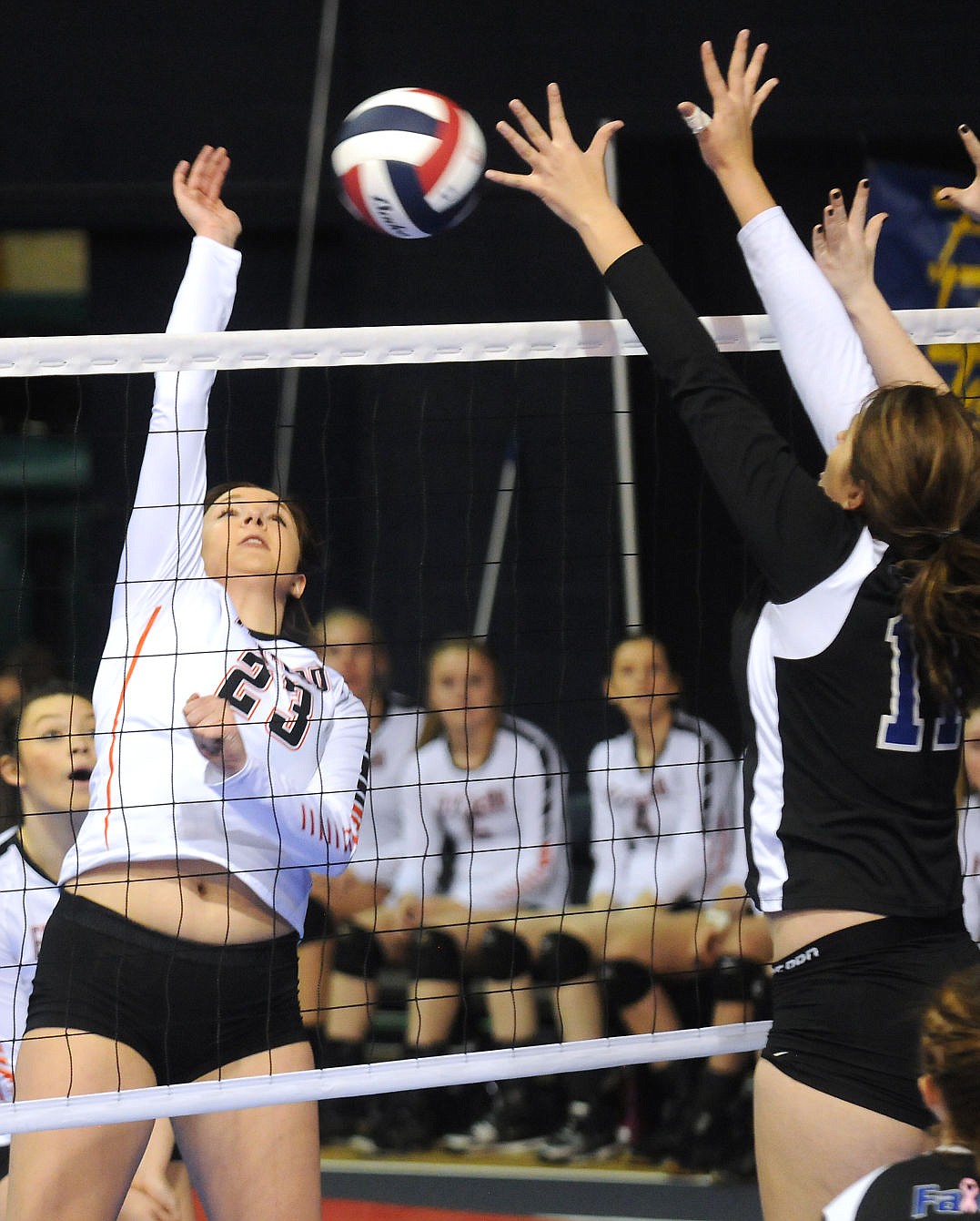 state volleyball 13.jpg
