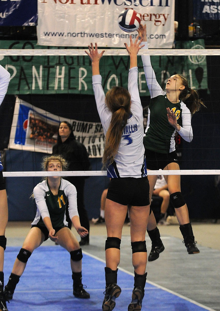 state volleyball 27.jpg