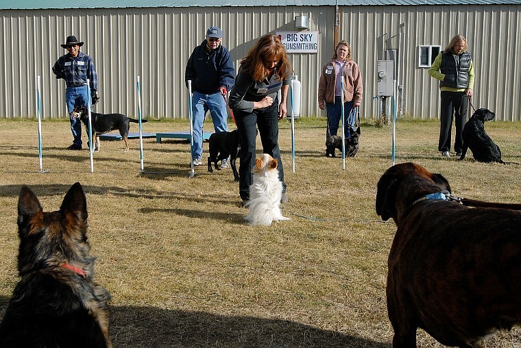 Dog trainer Ellie Bell works with her dog Zephyr while teaching an American Kennel Association Canine Good Citizenship course. The class prepares dogs and their owners for a test as part of the association&#146;s certification program, with emphasis on responsibility and good manners. For an audio slide show, go to www.dailyinterlake.com