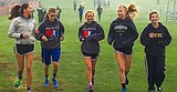 Royal misses goals at state but coach proud of runners