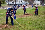 Leave the raking to them