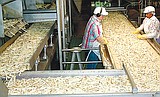 Simplot's Grant County plants spared closures