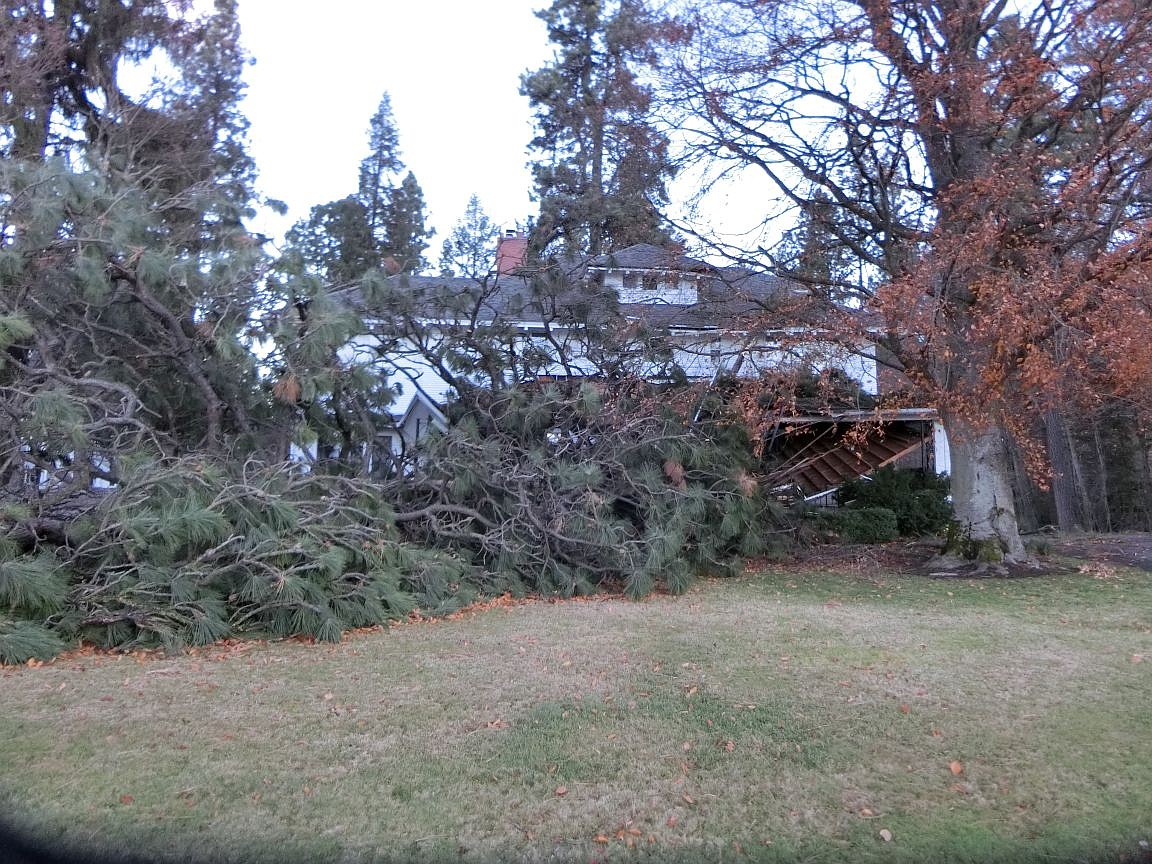 Tree down on Jewett House in Cd'A