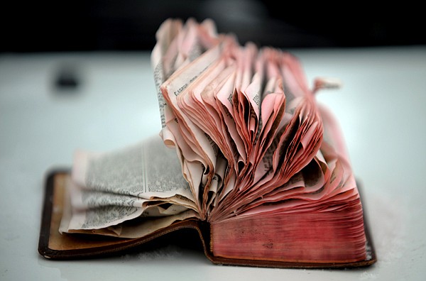 &lt;p&gt;A Bible that mysteriously survived the fire is still stuck on
the hood of the Matthews&#146; Blazer Friday afternoon.&lt;/p&gt;