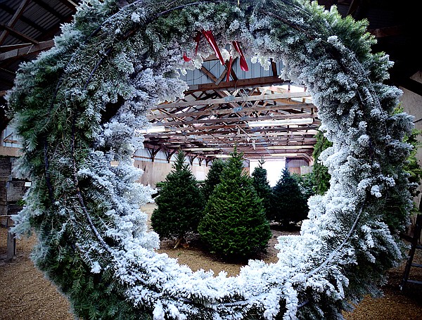 &lt;p&gt;A large wreath decorated with fake snow acts as a frame for trees inside the Snow Line Tree Company warehouse on Tuesday, November 13, south of Kalispell.&lt;/p&gt;