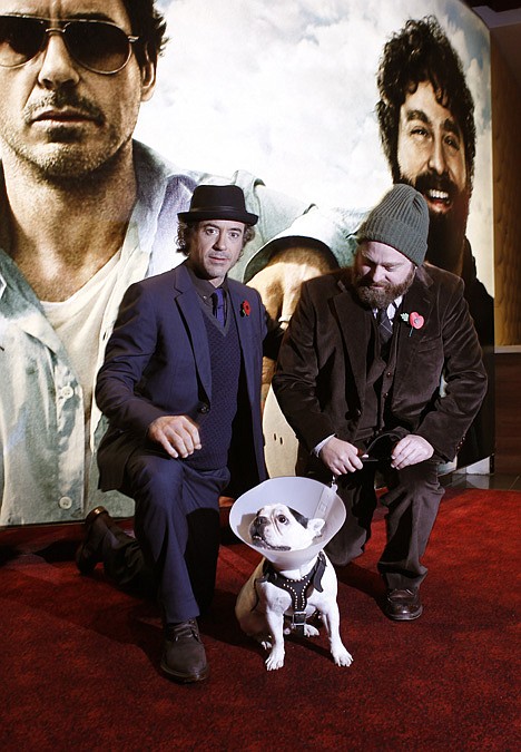 &lt;p&gt;U.S. actors Robert Downey Jr, left, Zach Galifianakis and Balu the dog arrive for the European premiere of Due Date at a central London cinema, Wednesday, Nov. 3, 2010.&lt;/p&gt;