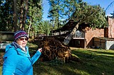 Residents picking up the pieces after fierce windstorm