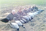 Northern ducks expected this weekend or soon