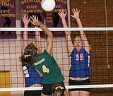 Wildkat spikers ousted from Divisional Tourney