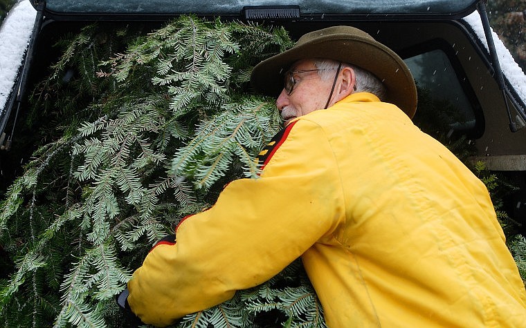 Hugh Corn pulls trees from his truck. More than 600 trees were collected to decorate downtown Bigfork this year.