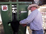 Some cattle producers upset over lawsuit