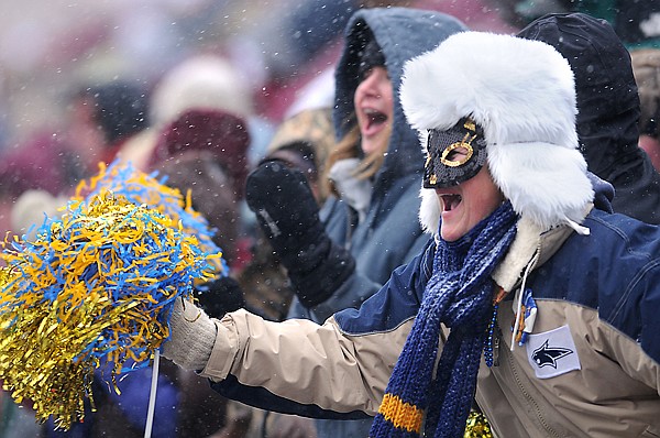 A Montana State University fan cheers as the Cats take the field for the Brawl of the Wild on Saturday, November 20, in Missoula.