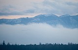 Glacier Scenes XI