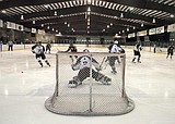 Hawks soar over Glacier