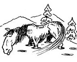 Snow plowing tips and laws