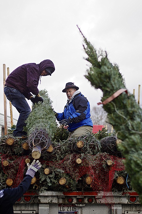 &lt;p&gt;JEROME A. POLLOS/Press Steve Slover, right, a staff member at Anchor House in Coeur d'Alene, and Joseph Reimer, a volunteer, help lower one of the 250-plus trees delivered Wednesday. The trees will be sold at the Anchor House's Christmas tree lot which opens for sales today (Friday).&lt;/p&gt;