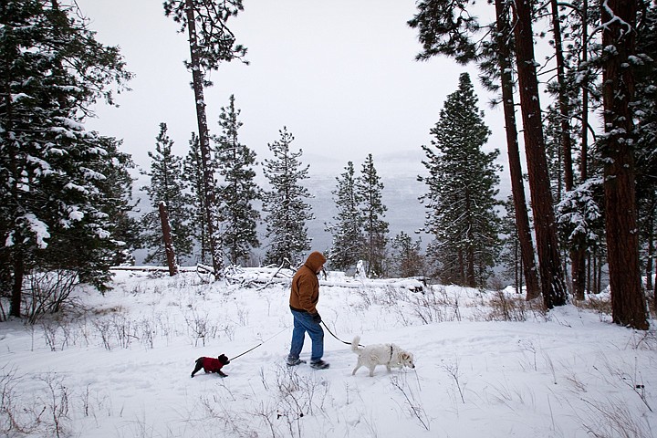 &lt;p&gt;SHAWN GUST/Press Raina leads Dalton Gardens resident Jim Robinson who is followed by Sammy during a winter walk on Tubbs Hill Monday.&lt;/p&gt;