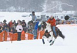 Skiing with horsepower